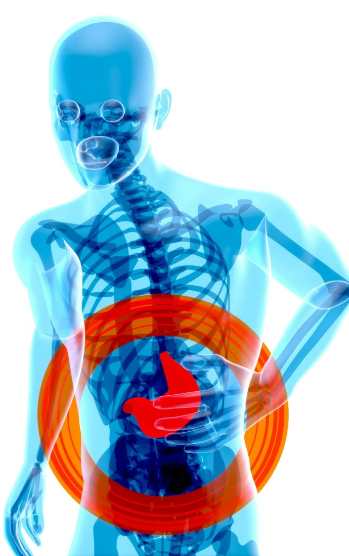 a skeleton with a red circle around it's stomach